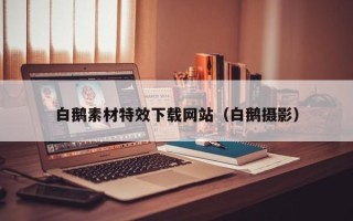 沙河白鹅素材特效下载网站（白鹅摄影）